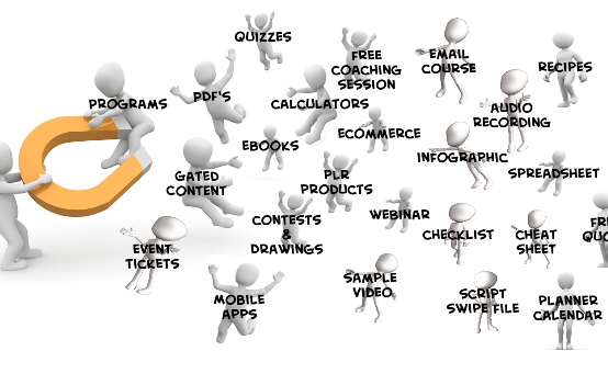 Lead Magnet Types