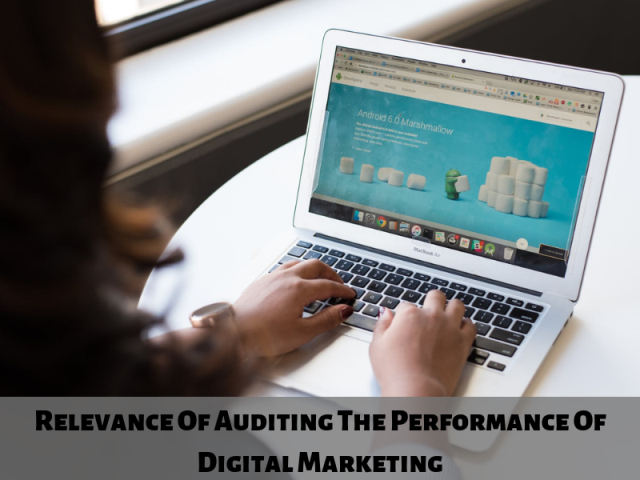 Relevance Of Auditing The Performance Of Digital Marketing