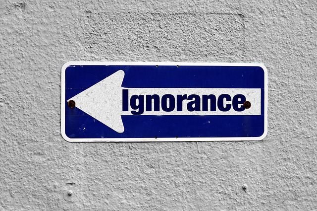 1 New Blogger Error Grounded in Ignorance